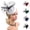 Black, variant on Fascinators Hats for Women LSQii Flower Mesh Ribbons Bow Knot Headband Spring Black Headwear Beret Pillbox Hat for Tea Party Church Bridal Wedding Gift,Under $3