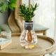 thumbnail image 5 of Transparent flower pots Plastic vase Floor vase living room home small bottle ornaments office hydroponic flower arranger Feature:Quantity: 1Pcs Colour: Clear Material: PolyesterProduct size:, 5 of 6