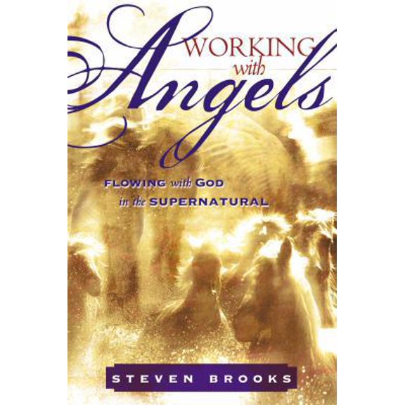 Pre-Owned Working with Angels: Flowing with God in the Supernatural (Paperback) 0768425115 9780768425116