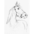 thumbnail image 2 of Parker, Jennifer Paxton 19x24 Black Ornate Wood Framed with Double Matting Museum Art Print Titled - Bridle Portraits II, 2 of 4