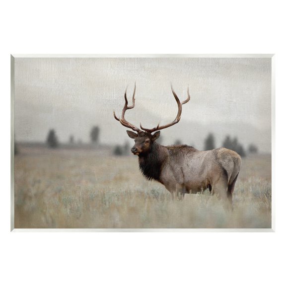 Stupell Industries Tranquil Elk Deer Grazing Rural Farmland Field Photograph Unframed Art Print Wall Art, Design by Danita Delimont