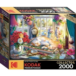 その他 Jigsaw Puzzl3000SKULLS &amp; FLOWERS CASTLE Takashi Murakami Jigsaw Puzzle / SKULLS & FLOWERS CASTLE