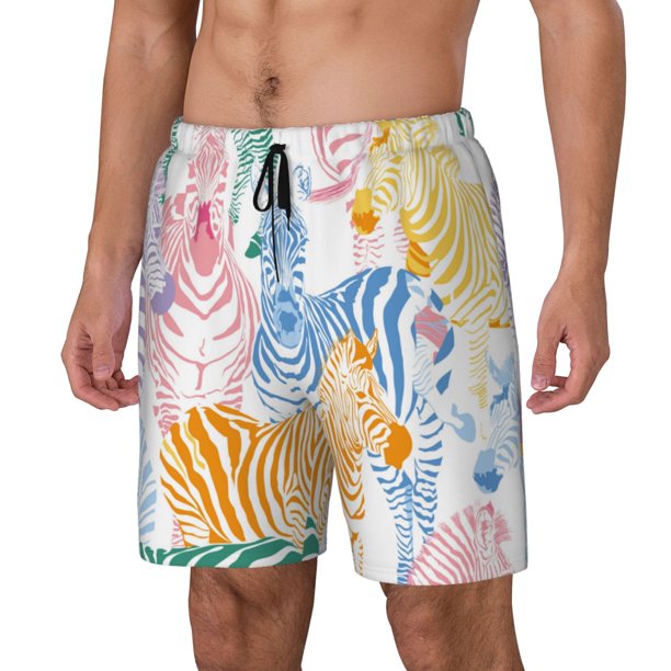 Balery Zebra Colourful Bañador para hombre, shorts de playa de secado rápido con entrepierna y forro de compresión-XX-Large