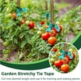 thumbnail image 2 of Ariseltys Stretch Tie Tape,Wide Garden Tie Tape Thick Plant Ribbon Garden Green Vinyl Stake for Branches, Flowers, Plants, Total, 2 of 11