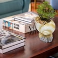 thumbnail image 3 of Felwors Conch Shellfish Flower Pot Natural Flower Pot Home Garden Decoration, 3 of 9