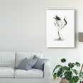 thumbnail image 3 of Trademark Fine Art 'Japanese Cranes I' Canvas Art by Naomi McCavitt, 3 of 4