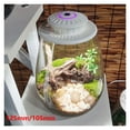 thumbnail image 4 of Desktop Miniature Plant Light with Timer Glass Terrarium Plant Growing Lamp Plant Grow Light for Miniature Gardening Landscape ,Thrive, 4 of 7