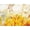 Autumn Scenic, variant on Women's Plus Size 3/4 Sleeve Seasonal Tee
