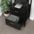 thumbnail image 3 of Frost 2-Drawer and 2-Shelf Wood File Cabinet, Reclaimed Black Oak, 3 of 9