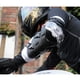 thumbnail image 2 of Protector de codo de motocicleta, coderas de Motocross Racing Downhill Dirt Bike Protection Coderas de protección negro Sunnimix Protector de codo de motocicleta, 2 of 7