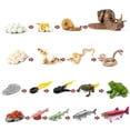 thumbnail image 1 of Simulation Insecte Plastique Animal Modèle Préscolaire Éducation Spéciale Miniature Accessoires Éducatifs Jouet de Cognition pour Enfants Type 4, 1 of 1