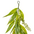 thumbnail image 2 of Vickerman 6' Artificial Green Willow Garland., 2 of 2