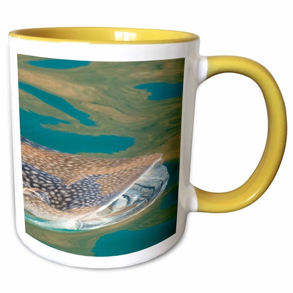 3drose, Mexico, Midriff, Bahia De Los Angeles, Whale Shark - Sa13 Tdr0027 - Trish Drury, 11oz Two-tone Yellow Mug