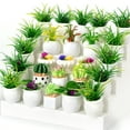 thumbnail image 6 of 26Pcs Miniature Potted Plants, Mini Artificial Plants, 1:12 Scale Doll House Accessories, Suitable for Dollhouse Decoration, Christmas Birthday Present, DIY Handicrafts, 6 of 6
