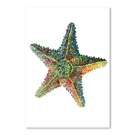 UPC: 0686457555814 | Americanflat Sea Star by T.J. Heiser Poster Art Print
