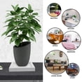 thumbnail image 2 of FOMIYES Para Plantas Cuadrada De Plástico Soporte Impermeable Para Macetas Y Jarrones, 2 of 8