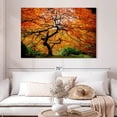 thumbnail image 2 of Elephant Stock Autumn Japanese Maple Tree Wall Art - Horizontal Canvas Wall Art - Living Room Wall Decor - Floral And Botanical Canvas - Orange And Brown Decor - 51" x 34", 2 of 8