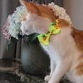 thumbnail image 3 of Nueva mascota fruta lazo cinta gato collar arco extraíble campana, 3 of 5