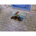thumbnail image 2 of Betsydrake DM1237 18 x 26 in. Mermaids Handbook Door Mat, 2 of 2