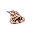 thumbnail image 2 of Pièce de Fortune Rouge Crapaud/grenouille/chan Chu - Feng Shui Décoration Prospérité Chinoise Cadeau (Bronze), 2 of 4