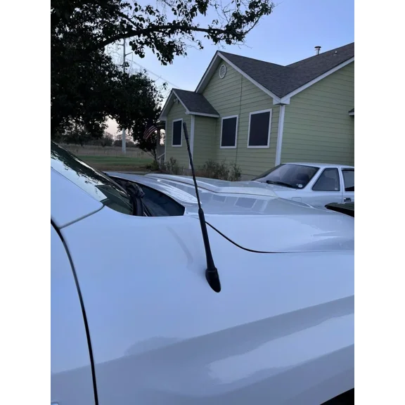 11" inch Antenna Mast Black Power Rod Radio AM/FM for TOYOTA TUNDRA 2000-2020 Brand New