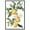 Black Frame, variant on Lemon and Leaf Fusion II Canvas Vintage Prints by Art Remedy, Gallery Wrapped, 24" x 36"