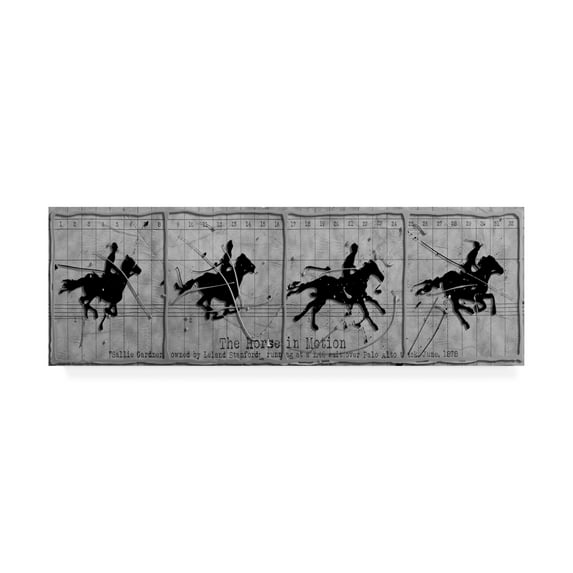 Trademark Fine Art 'Horse in Motion' Canvas Art by Roderick Stevens
