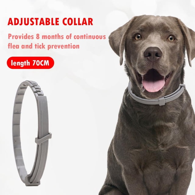 Collar antipulgas y garrapatas para perros y gatos collares antiparasitarios ajustables para desparasitación