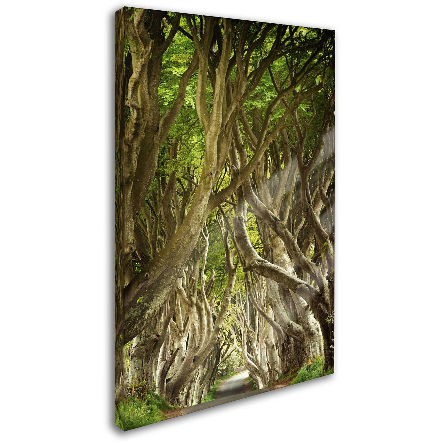 Trademark Fine Art "The Way It Is" Canvas Art by Philippe Sainte-Laudy