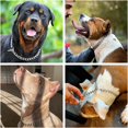 thumbnail image 4 of Chain Dog Training Choke Collar,Adjustable Stainless Steel Chain Slip Collar,Dog Training Collar Chain Slider Collar Resistant Metal Chain,Suitable For Small Medium And Large Dogs, 4 of 6