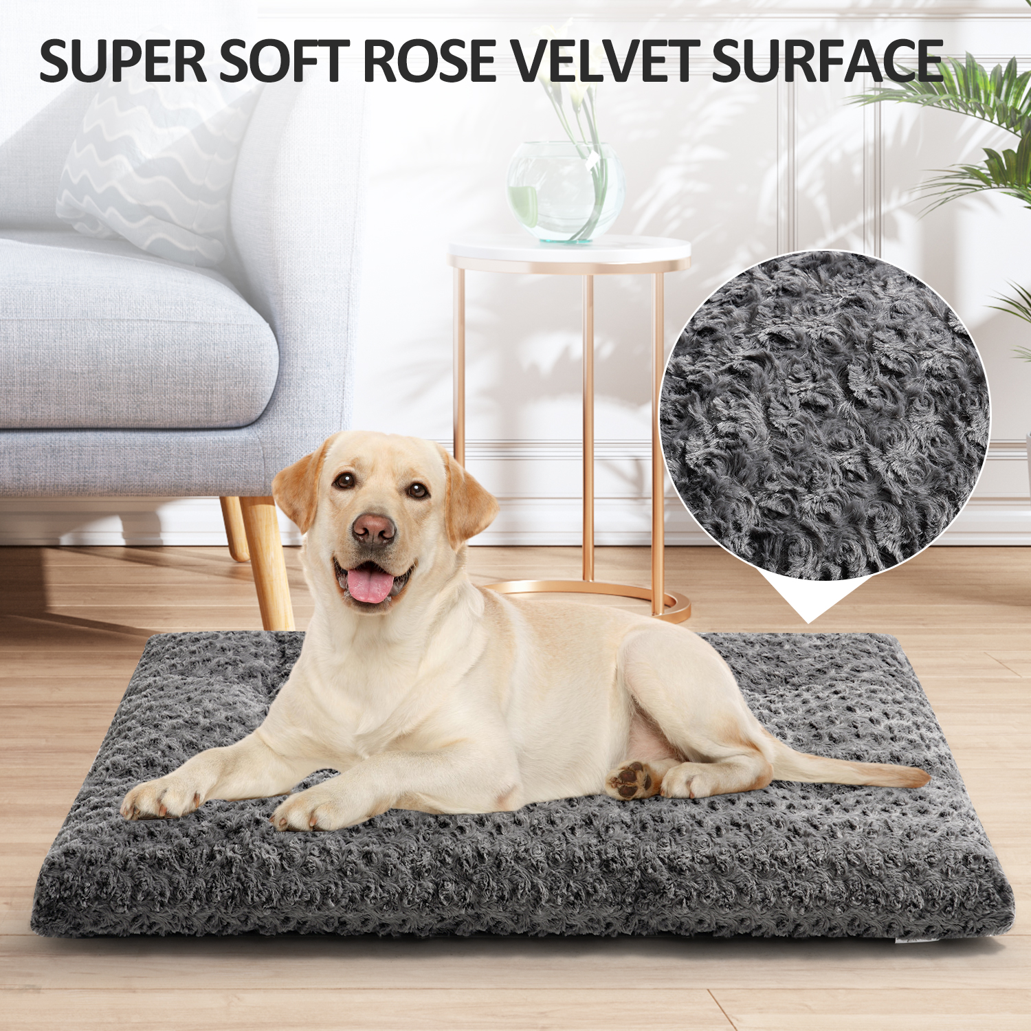 EMONIA Large Dog Bed with Rose Velvet, 36"x23", Gray photo 4