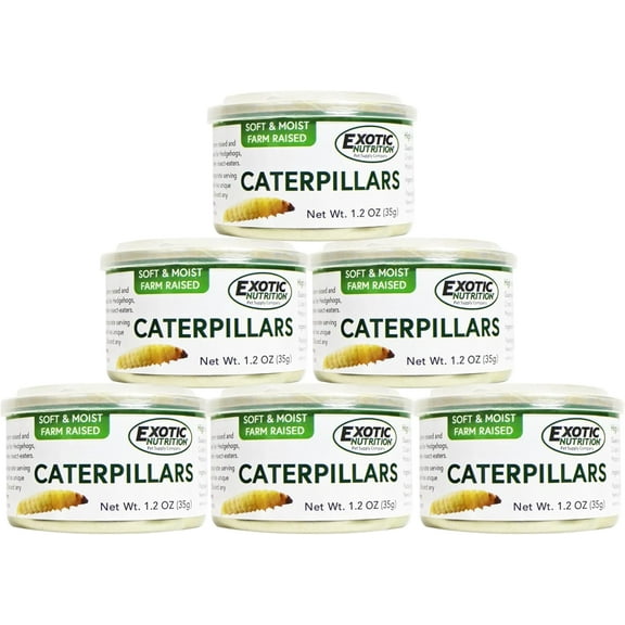 Canned Caterpillars 35 g. (6 Pack)