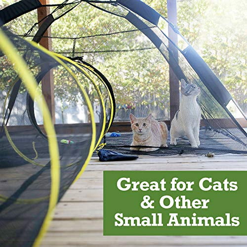 Outback Jack Kitty Compound Play House and Outdoor Cat Enclosures for Indoor Cats Portable Cat Tent Cat Tunnel Cat Kennel and Playhouse Play