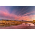 thumbnail image 2 of Jones, Adam 18x13 Gold Ornate Wood Framed with Double Matting Museum Art Print Titled - Golden cottonwood and aspen trees at sunset Gros Ventre River-Grand Teton National Park-Wyoming, 2 of 4