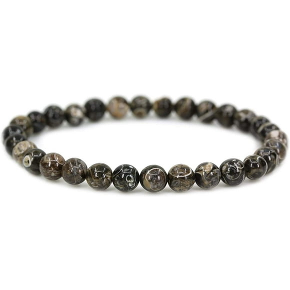 Natural Cowry Fossil Gemstone 6mm Round Beads Stretch Bracelet 6.5" Unisex
