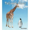 Tall and Short, Used [Paperback]