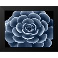 thumbnail image 2 of Jensen, Mia 24x19 Black Modern Framed Museum Art Print Titled - Succulent Indigo IV, 2 of 5