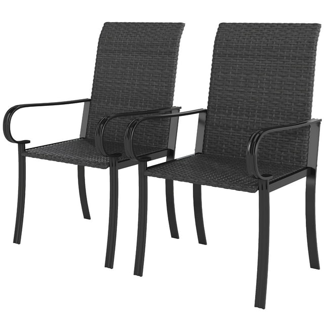 CoSoTower 2 Piece PE Rattan Patio Dining Chairs with Steel Frame, for Garden, Backyard, Pool Side, Porch, Black