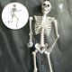 thumbnail image 3 of cuerpo esqueleto Horror esqueleto Halloween fiesta temática cementerio tumba jardín estante enseñanza ayuda figura decoración coleccionable , Alto 160cm Alto 160cm Magideal cuerpo esqueleto, 3 of 7