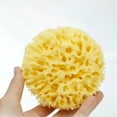 thumbnail image 4 of Toystoory Esponja griega natural versátil para diversas aplicaciones Esponjas marinas naturales para bañarse súper suaves Juegos de accesorios de baño, 4 of 6