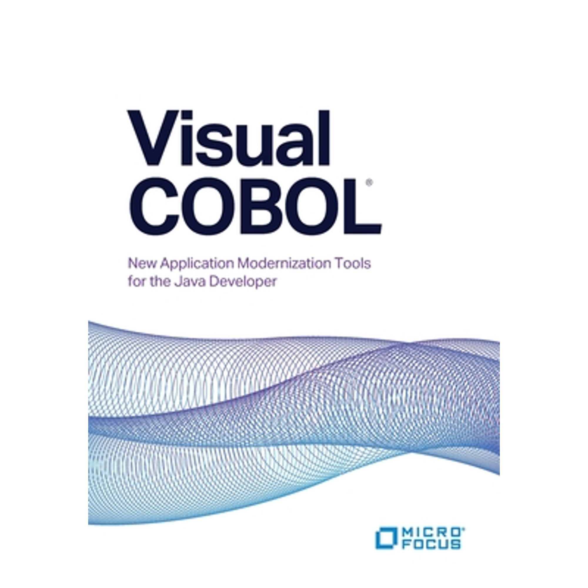 Visual COBOL: New Application Modernization Tools for the Java Developer (Paperback)