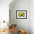 thumbnail image 4 of Bengal Tiger Hiding behind Leaves, Animals Framed Art Print Wall Art by DLILLC Sold by Art.Com, 4 of 5