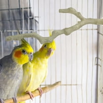 OUNONA Bird Perch for Cage Bird Stand Toy Wooden Parrot Stand Branch Paw Grinding Stick Bird Exercise Training Climbing Toys for Bird Cage Accessories