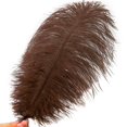 thumbnail image 2 of Plumas de avestruz marrones Soarer de 30 a 35 cm para manualidades, 15 unidades, 2 of 6