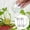 White (Including 4pc dripper + 1pc cleaning brush + 4pc rubber band + 8pc cloth), variant on Laege Self Watering Globes, Light Iridescent Glass Water Bulbs for Indoor Plants, Vacation Watering System, Self-Watering Stakes, Automatic Waterer, 4 Pack Waterer Bulbs