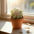 thumbnail image 3 of Lifelike Succulent Arrangement In Modern Decorative Planter For Home, 3 of 4