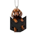 thumbnail image 3 of Cachorro Colgante Coche Tamaño Compacto Colgante Mini Juguetes Regalos (Estilo A), 3 of 4