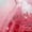Red, variant on OJJCXA Womens Socks Breathable Casual Thickened Coral Velvet Acrylic Festive Birthday Christmas Socks