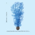 thumbnail image 3 of biOrb Medium Blue Sea Fan, 3 of 8