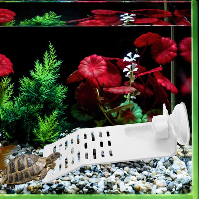 unbranded Para Reptiles Plástica Multifuncional Para Terrarios Y Peceras